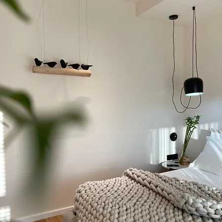 Urban Luxury Apartment Tirana